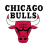 Chicago Bulls image